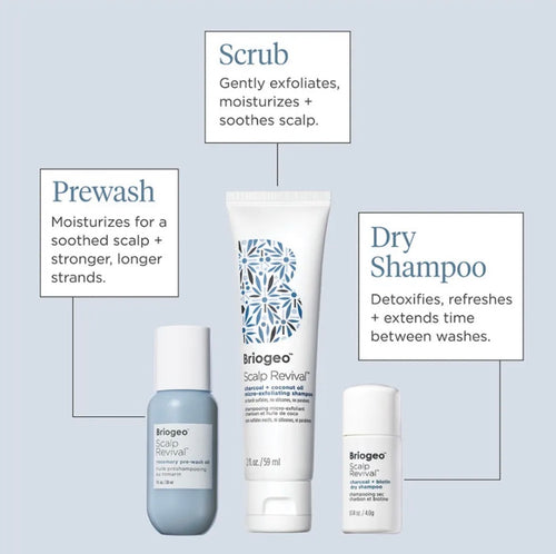 BRIOGEO
スカルプスージングスターターセット • 93ml