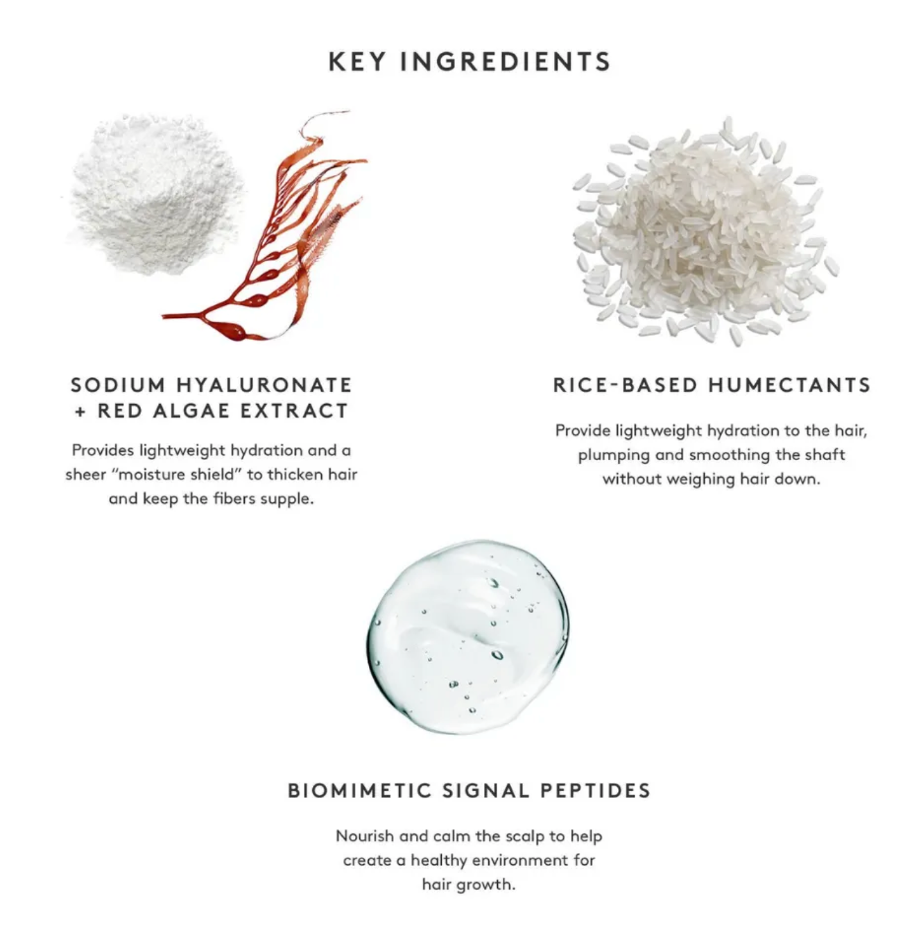 VIRTUE LABS